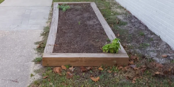 Lake Forest Day Treatment